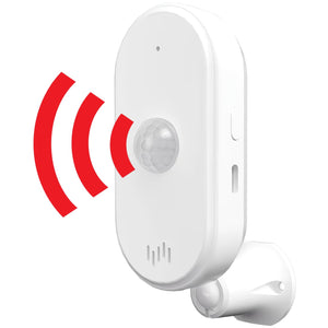 Motion Sensor & Detector Alarms