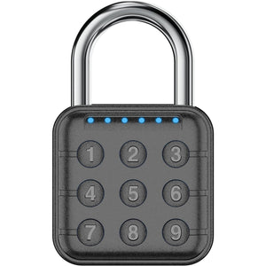 High Security Padlocks