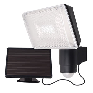 Outdoor Security Lights