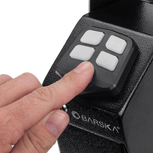 Biometric Safes